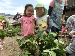 6��10���@���Ⴊ�����@��_83