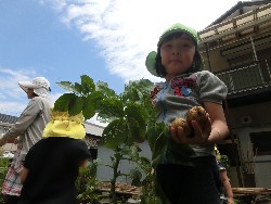 6��10���@���Ⴊ�����@��_84