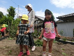 6��10���@���Ⴊ�����@��_85