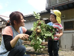 6��10���@���Ⴊ�����@��_86