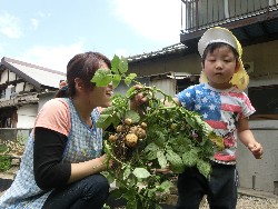 6��10���@���Ⴊ�����@��_87