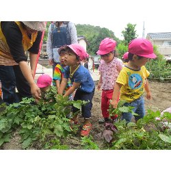 6��11���@��񂰁@���Ⴊ�������n_8