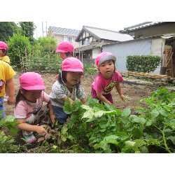 6��11���@��񂰁@���Ⴊ�������n_9