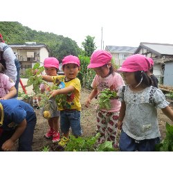 6��11���@��񂰁@���Ⴊ�������n_10