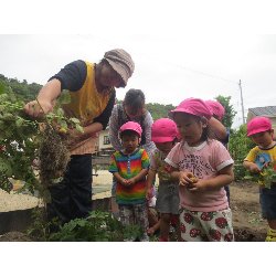 6��11���@��񂰁@���Ⴊ�������n_11