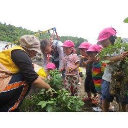 6��11���@��񂰁@���Ⴊ�������n_12