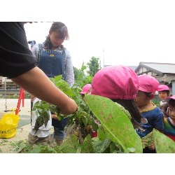 6��11���@��񂰁@���Ⴊ�������n_13