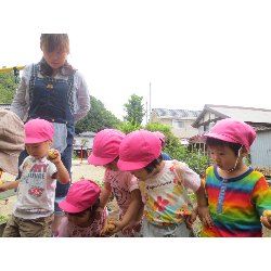 6��11���@��񂰁@���Ⴊ�������n_14