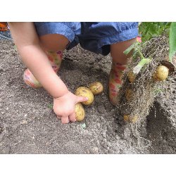 6��11���@��񂰁@���Ⴊ�������n_15