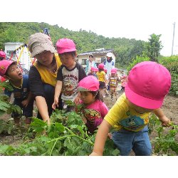 6��11���@��񂰁@���Ⴊ�������n_16