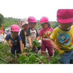 6��11���@��񂰁@���Ⴊ�������n_17