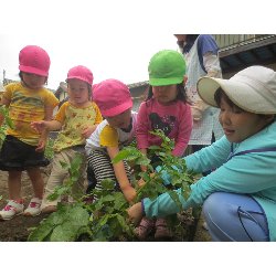 6��11���@��񂰁@���Ⴊ�������n_18