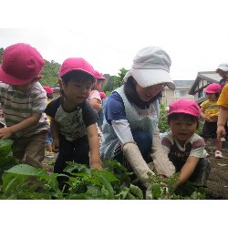 6��11���@��񂰁@���Ⴊ�������n_19