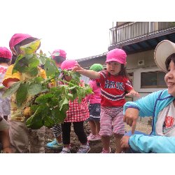 6��11���@��񂰁@���Ⴊ�������n_20