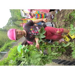 6��11���@��񂰁@���Ⴊ�������n_22