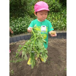 6��11���@��񂰁@���Ⴊ�������n_23