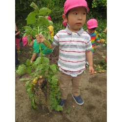 6��11���@��񂰁@���Ⴊ�������n_24