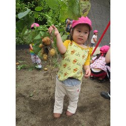 6��11���@��񂰁@���Ⴊ�������n_25