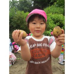 6��11���@��񂰁@���Ⴊ�������n_26