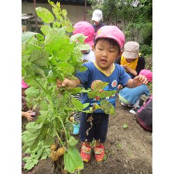 6��11���@��񂰁@���Ⴊ�������n_28