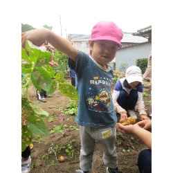 6��11���@��񂰁@���Ⴊ�������n_29