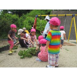 6��11���@��񂰁@���Ⴊ�������n_30