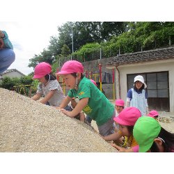 6��11���@��񂰁@���Ⴊ�������n_31