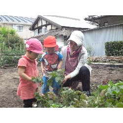 6��11���@����ۂہ@���Ⴊ�������n_1