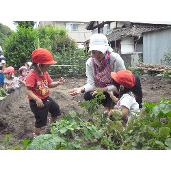 6��11���@����ۂہ@���Ⴊ�������n_3