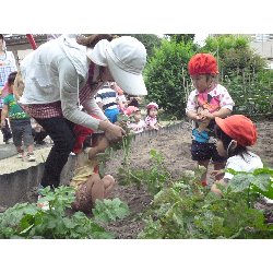 6��11���@����ۂہ@���Ⴊ�������n_5