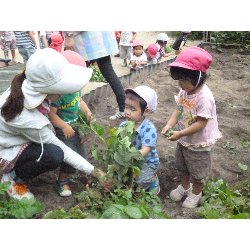 6��11���@����ۂہ@���Ⴊ�������n_6