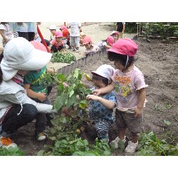 6��11���@����ۂہ@���Ⴊ�������n_7