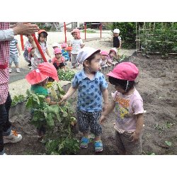 6��11���@����ۂہ@���Ⴊ�������n_8