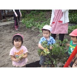 6��11���@����ۂہ@���Ⴊ�������n_9