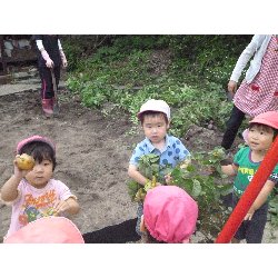 6��11���@����ۂہ@���Ⴊ�������n_10