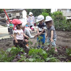 6��11���@����ۂہ@���Ⴊ�������n_11