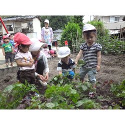 6��11���@����ۂہ@���Ⴊ�������n_12