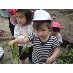 6��11���@����ۂہ@���Ⴊ�������n_13