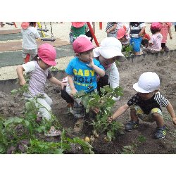 6��11���@����ۂہ@���Ⴊ�������n_14