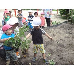 6��11���@����ۂہ@���Ⴊ�������n_15