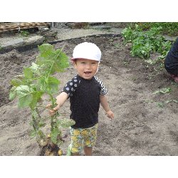 6��11���@����ۂہ@���Ⴊ�������n_17