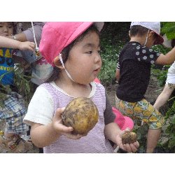 6��11���@����ۂہ@���Ⴊ�������n_18