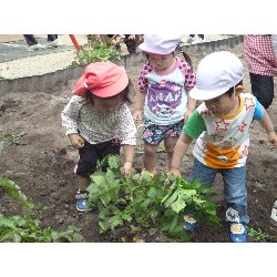 6��11���@����ۂہ@���Ⴊ�������n_19