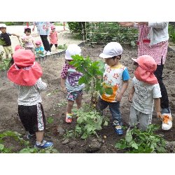 6��11���@����ۂہ@���Ⴊ�������n_20