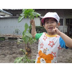 6��11���@����ۂہ@���Ⴊ�������n_21