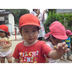 6��11���@����ۂہ@���Ⴊ�������n_22