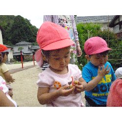 6��11���@����ۂہ@���Ⴊ�������n_23