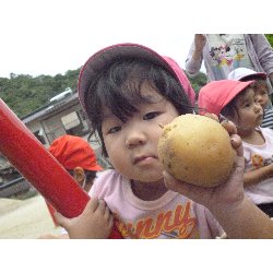 6��11���@����ۂہ@���Ⴊ�������n_24