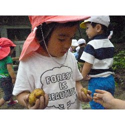 6��11���@����ۂہ@���Ⴊ�������n_25