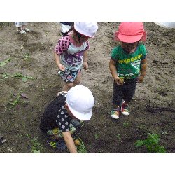 6��11���@����ۂہ@���Ⴊ�������n_27